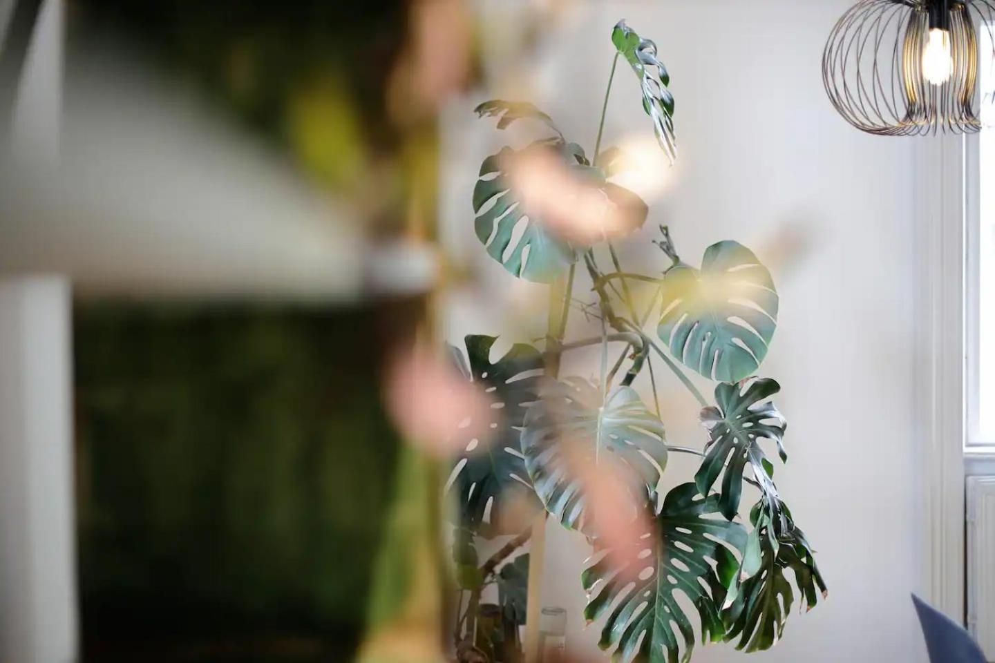 Budapestayz - Izabella Studios Ngoại thất bức ảnh